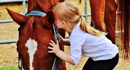 FUNDACJA ELDORADO & KUCYKOMANIA