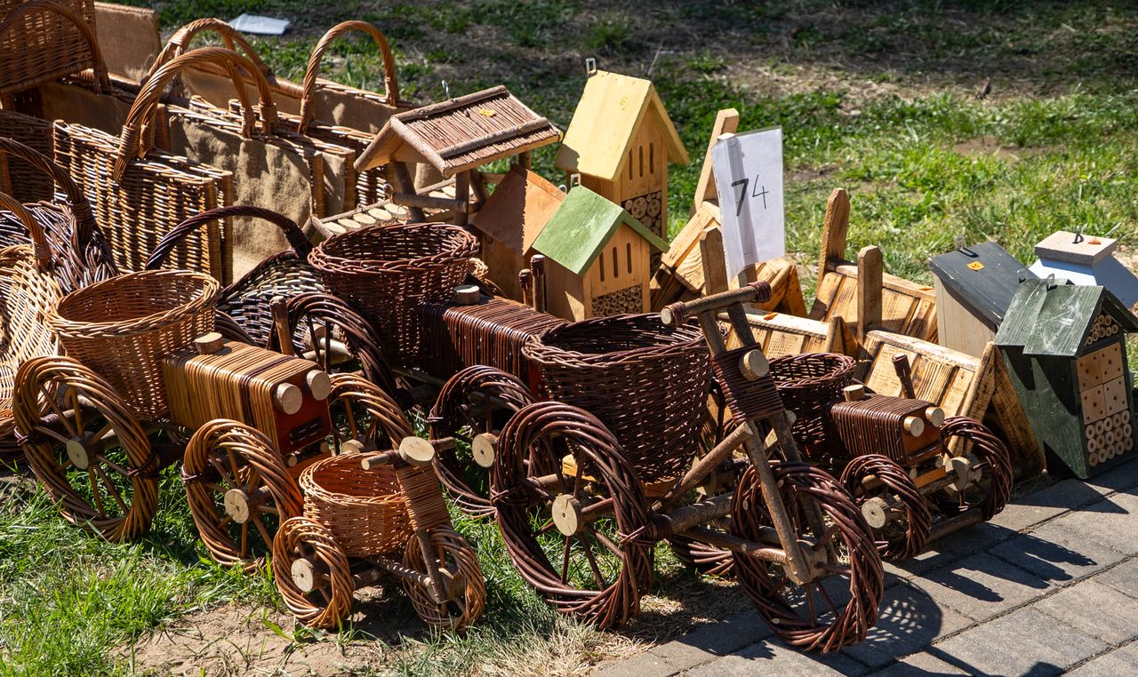 Piła, Wystawa Miasto - Ogród, 2026