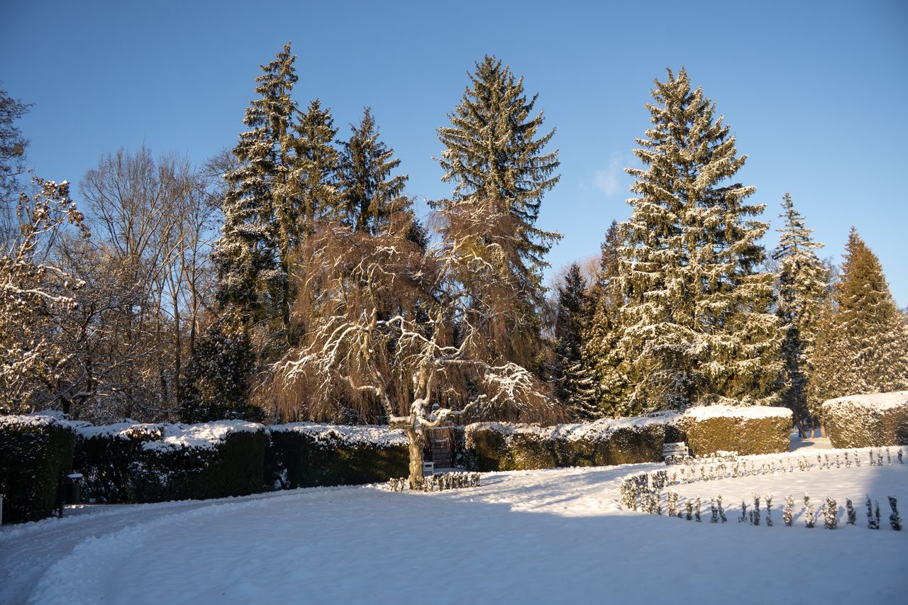 Park Miejski Piła, zima, śnieg, styczeń 2026