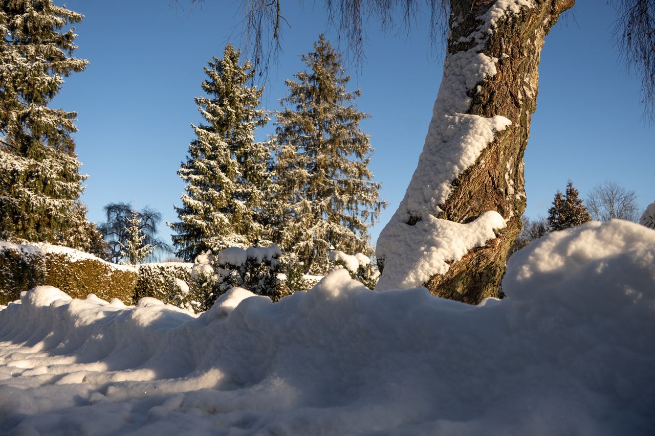 Park Miejski Piła, zima, śnieg, styczeń 2026
