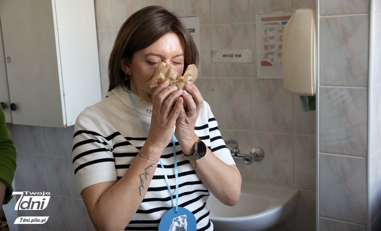 PP 17 Piła, przedszkole, Piła