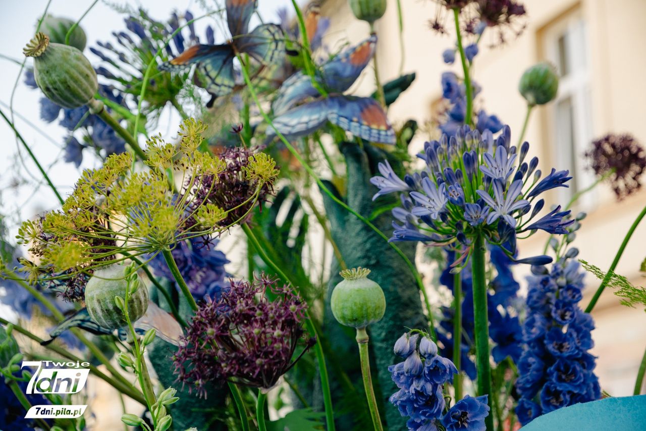 Festiwal Kwiatów, Czarnków