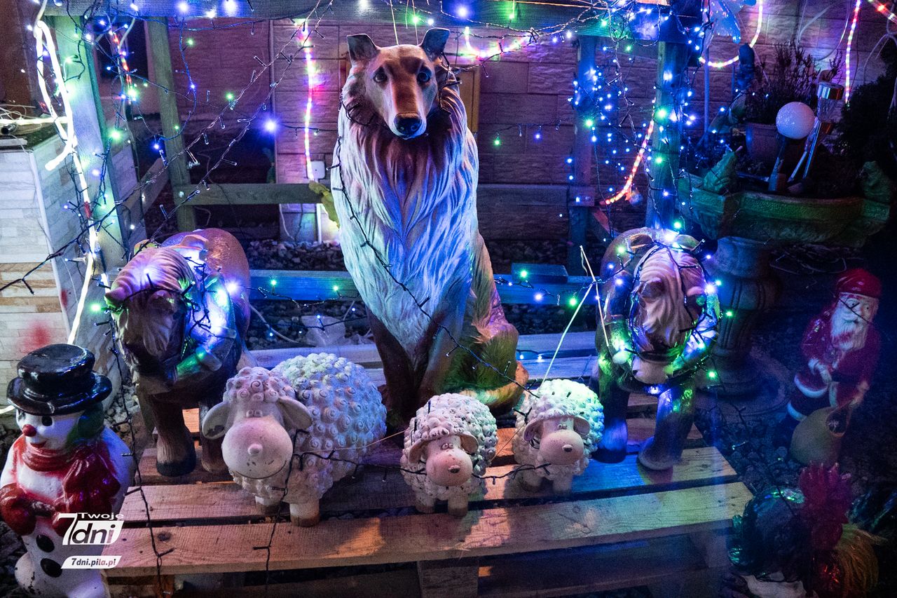 Świąteczne iluminacje