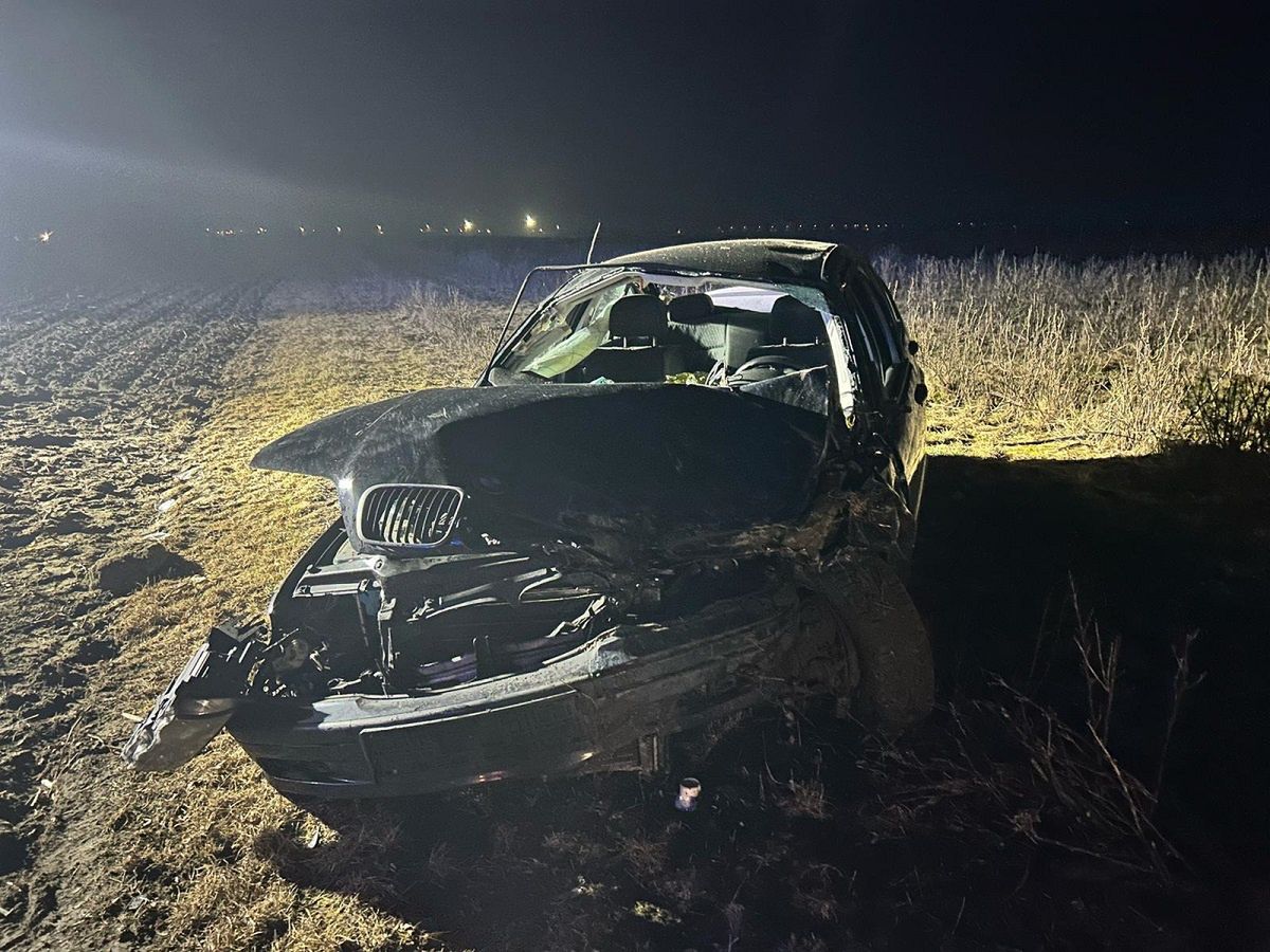 Dachowanie w Sannikach 