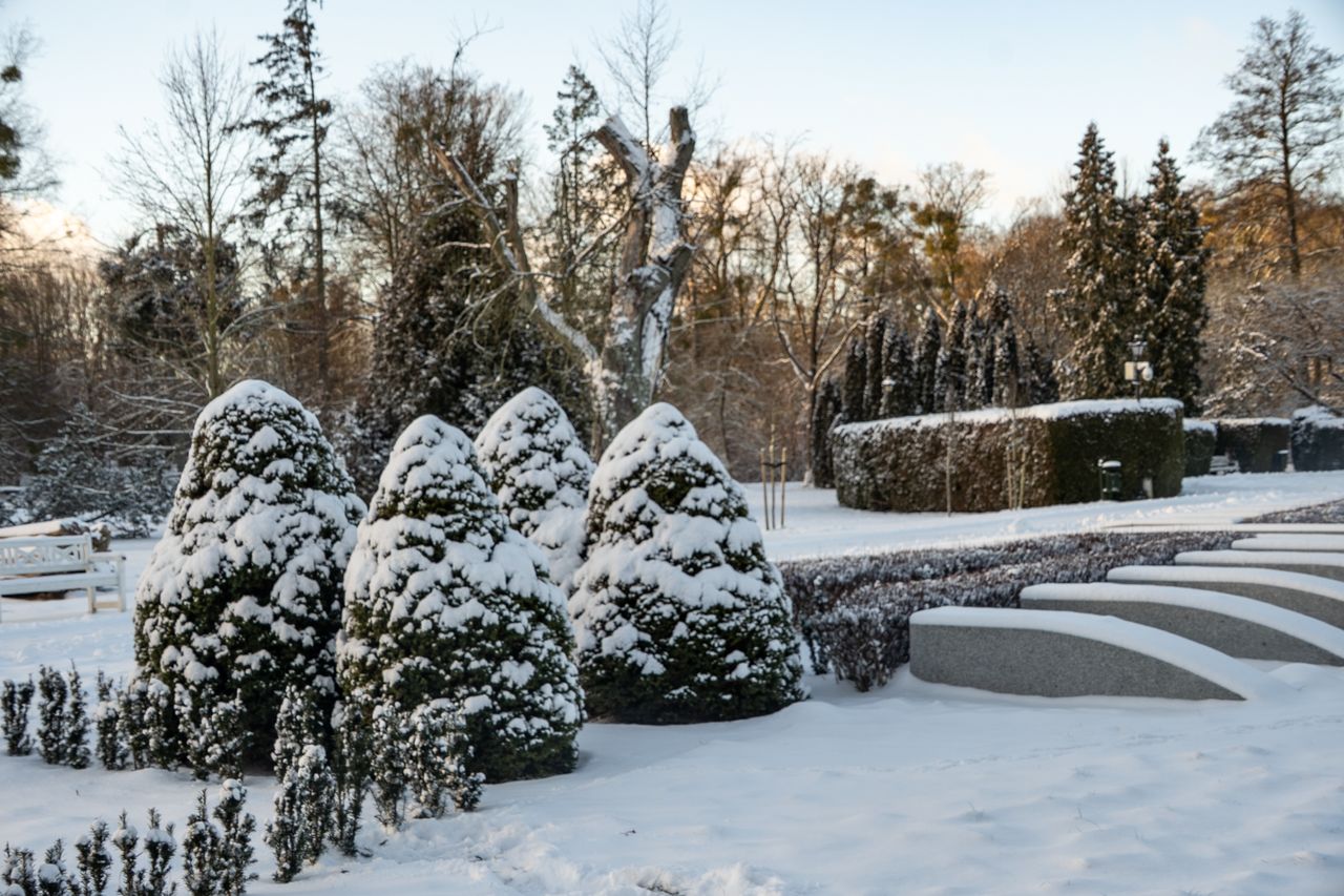 Park Miejski Piła, zima, śnieg, styczeń 2026