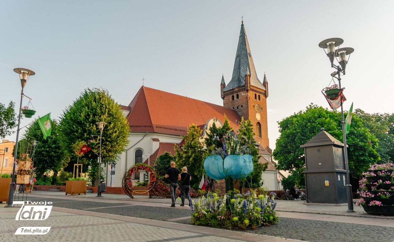 Festiwal Kwiatów, Czarnków