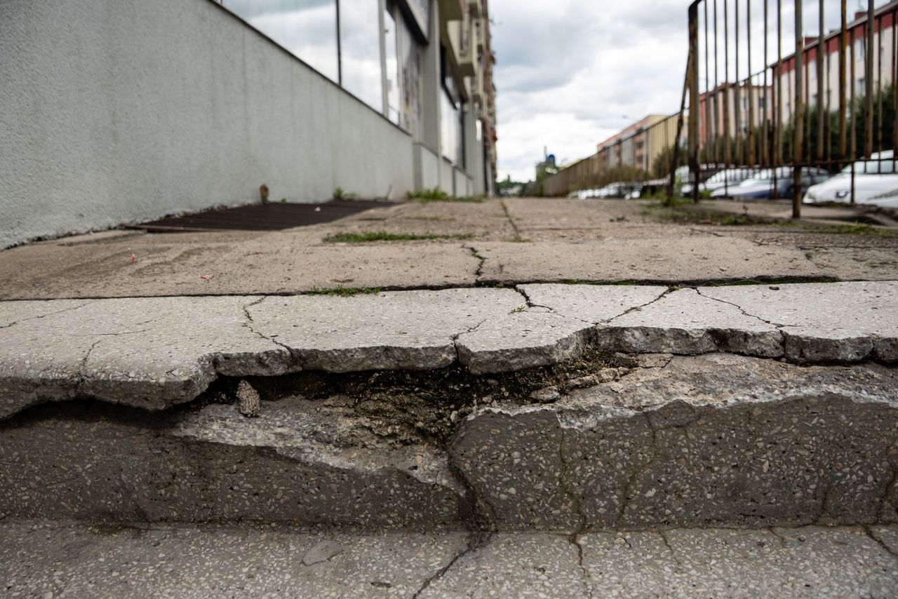 chwasty, zieleń, Piła