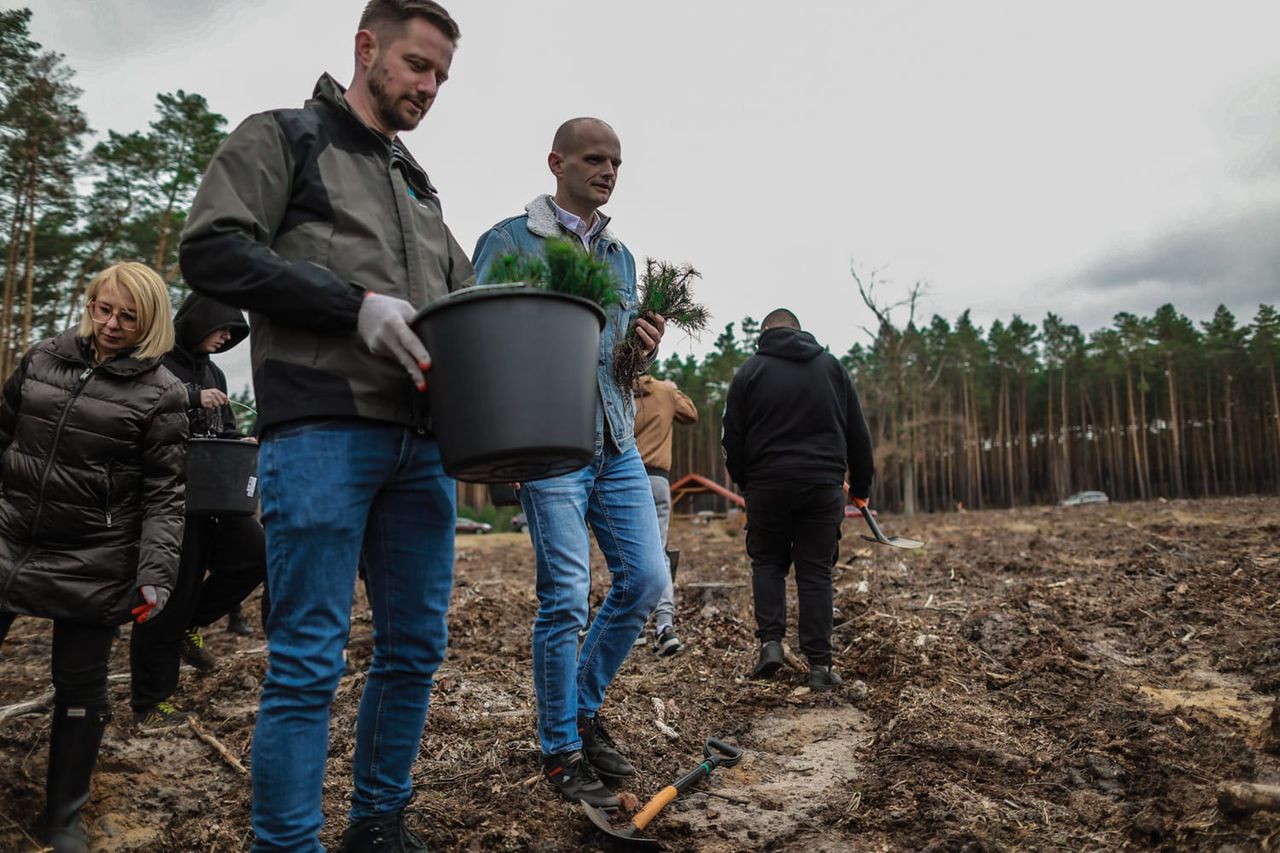 Wiosenne sadzenie drzew!