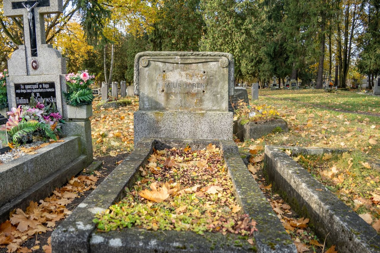 Cmentarz przy al. Powst. Wlkp. w Pile, dawny, stary, Piła