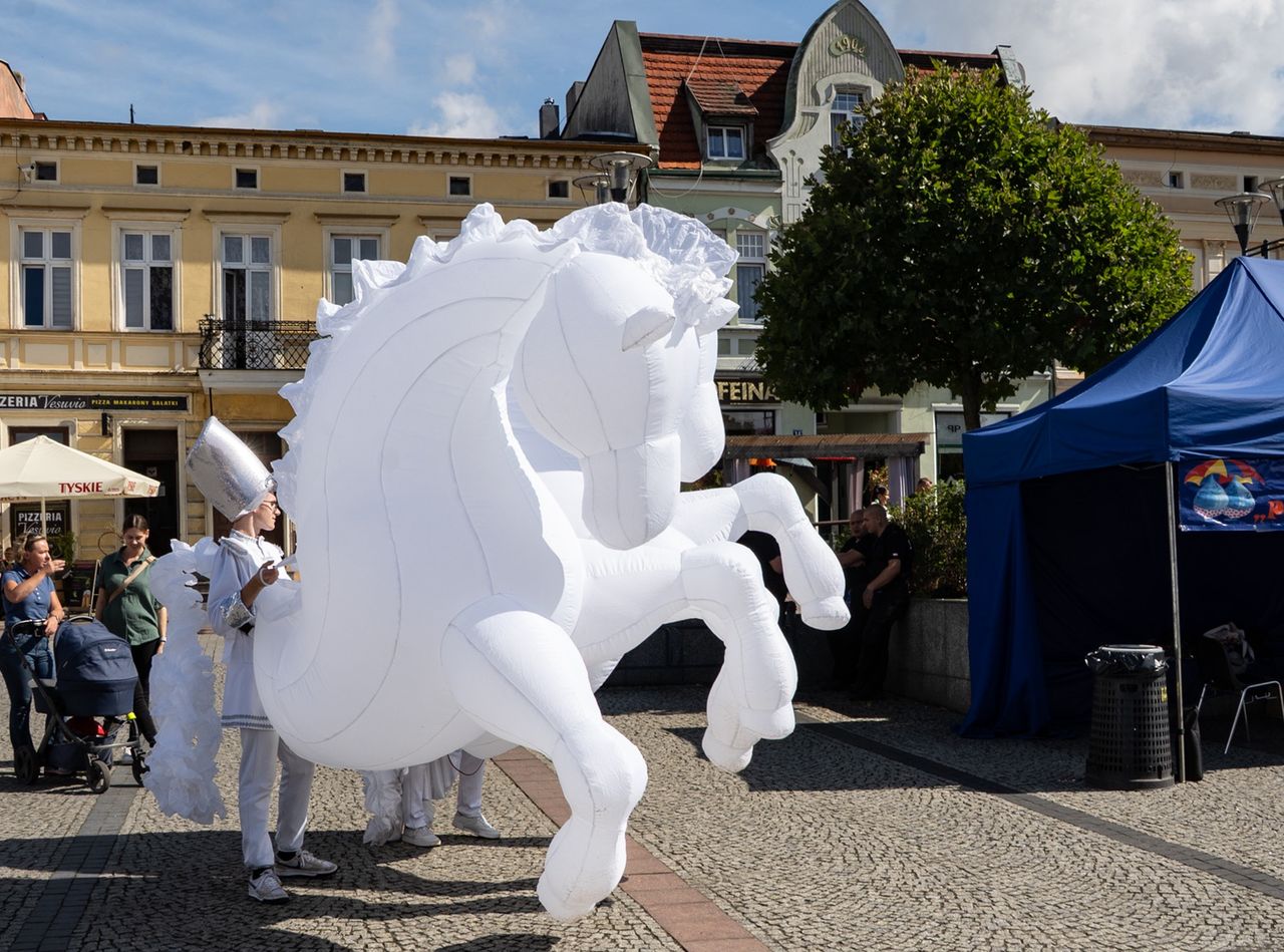Dzień Spieczonego Bliźniaka w Czarnkowie, 2025