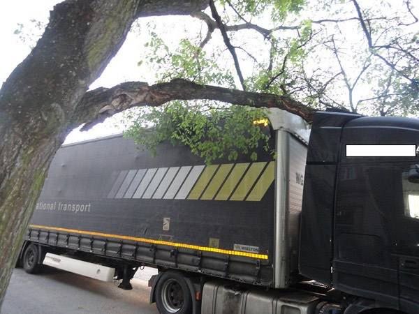 Ciężarówka utknęła pod drzewem