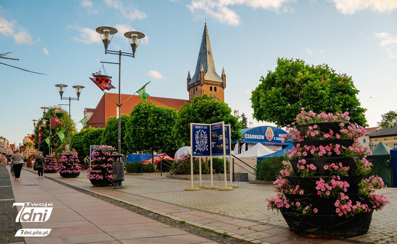 Festiwal Kwiatów, Czarnków
