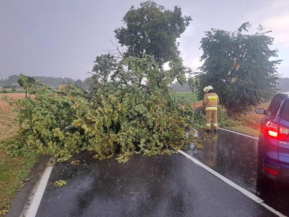 Zniszczenia po silnej burzy w Gąbinie