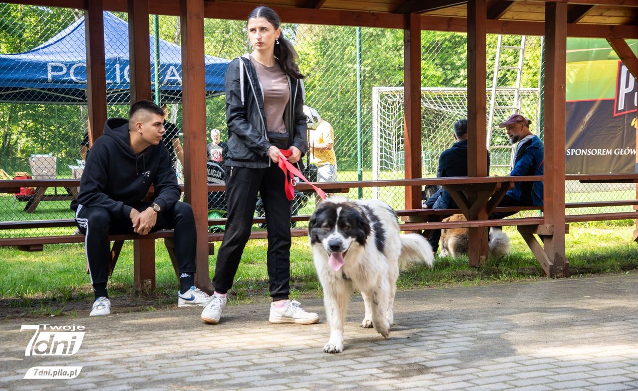 Psi Spacer w Dobrzycy 2025