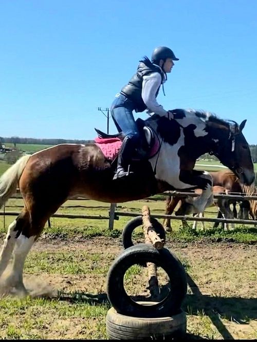 FUNDACJA ELDORADO & KUCYKOMANIA