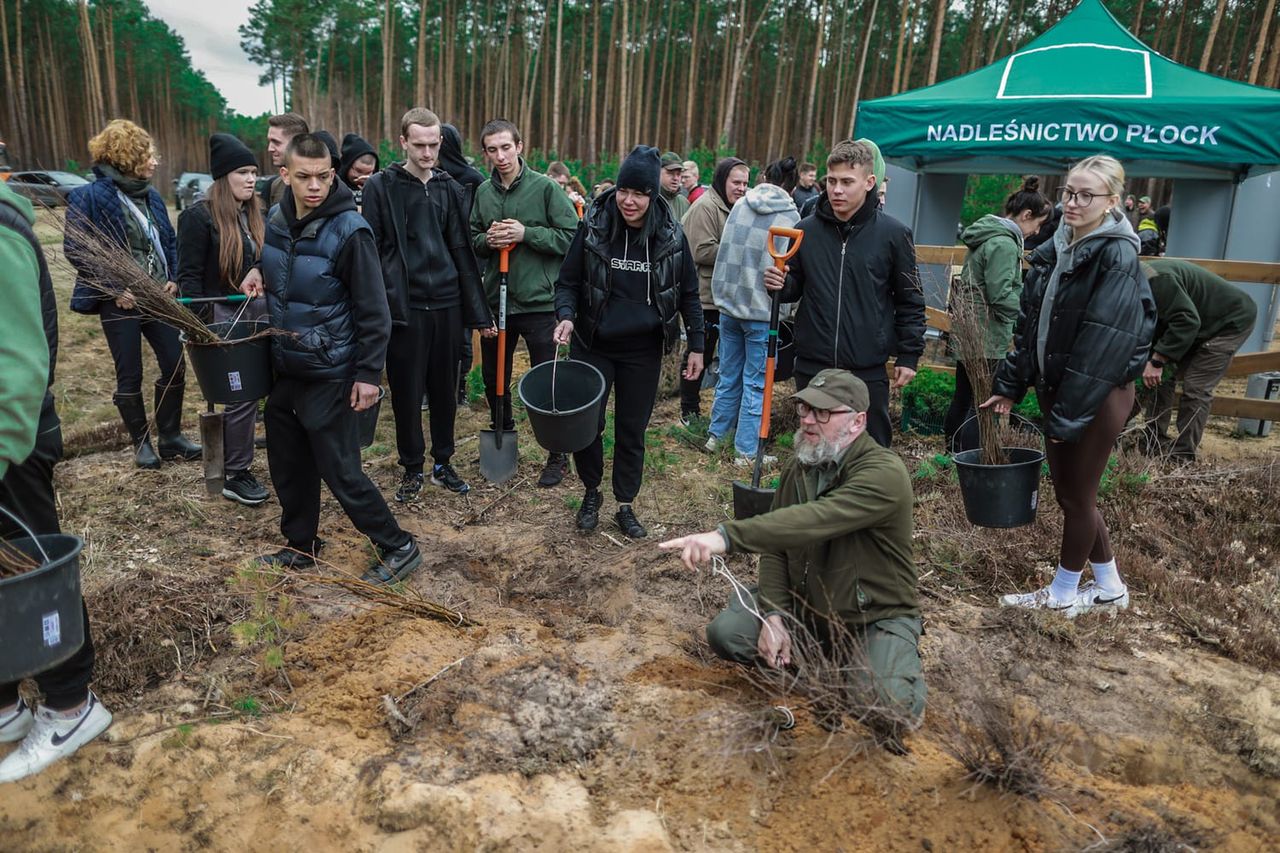 Wiosenne sadzenie drzew!