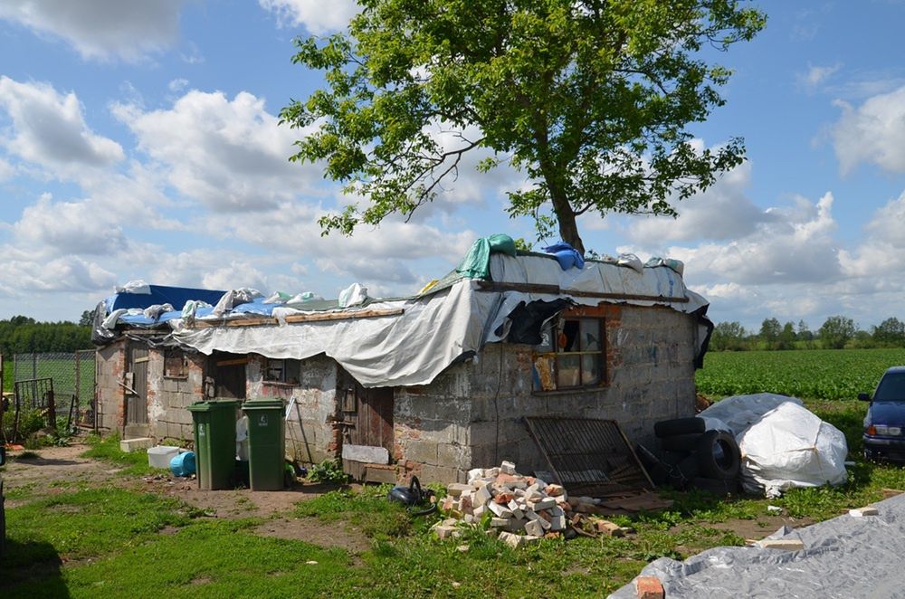 Caritas Diecezji Płockiej 