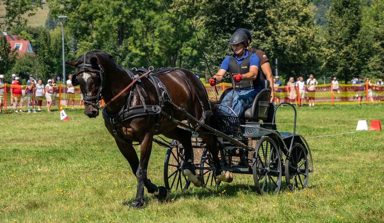 Podhale, Zakopane, powożenie, konie