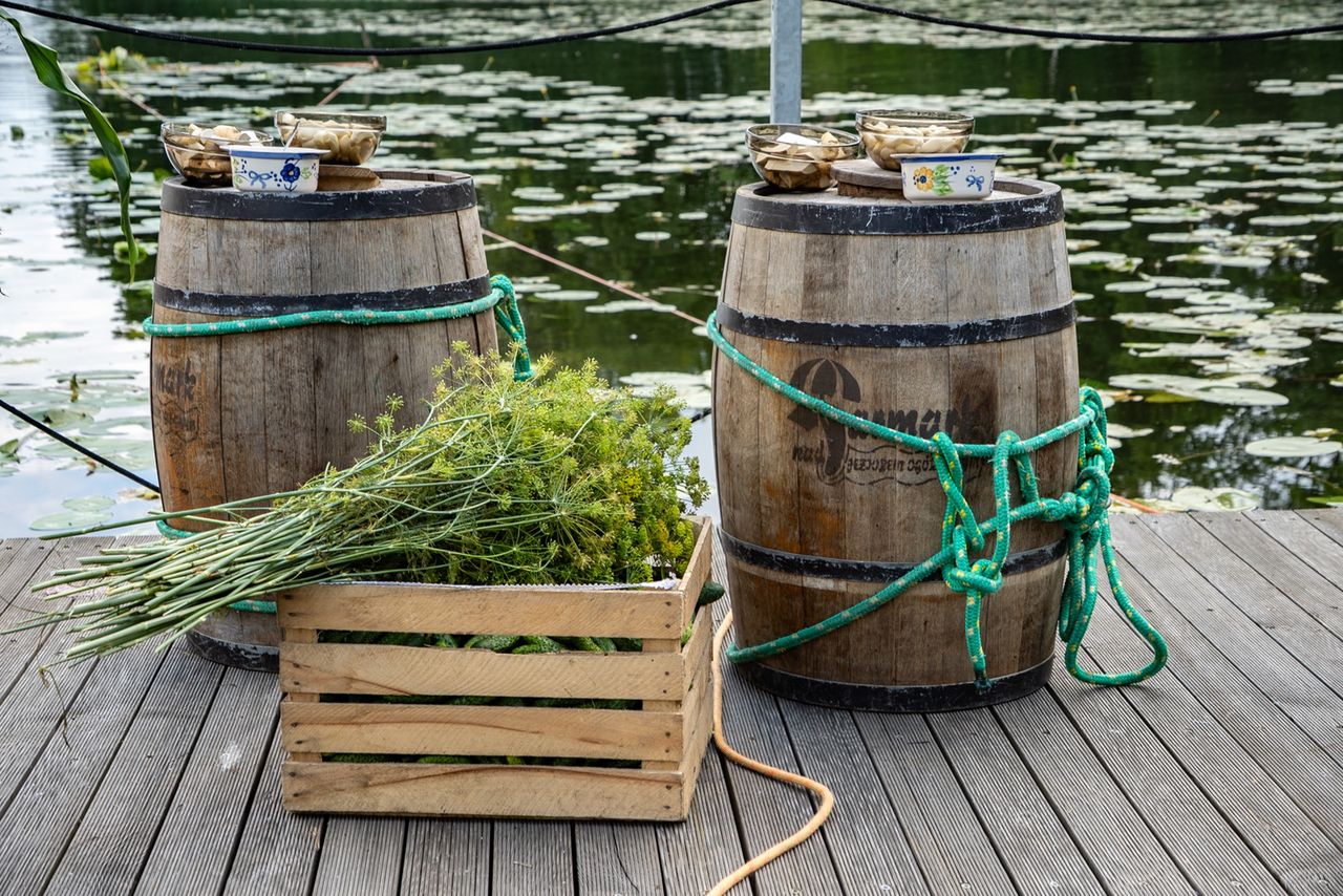 Festyn ogórkowy w Kaliszu Pomorskim, ogórki