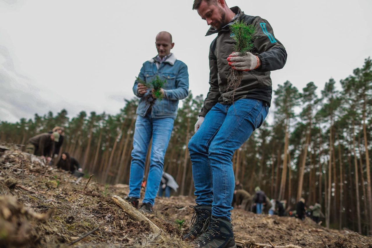 Wiosenne sadzenie drzew!