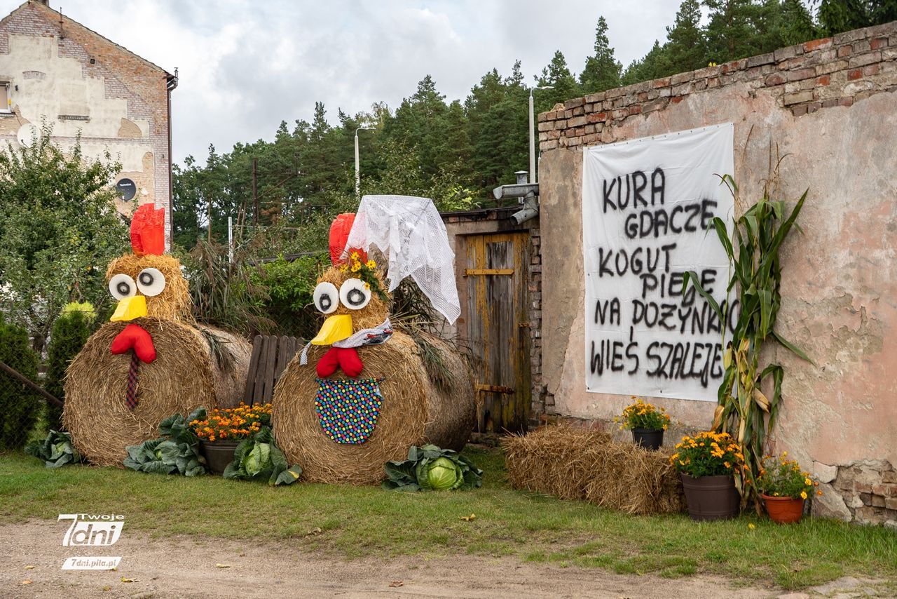 Dożynki w Dziembówku i Dziembowie