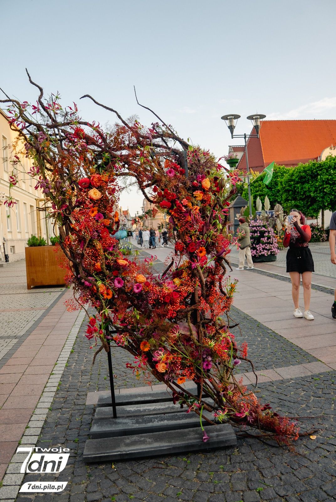 Festiwal Kwiatów, Czarnków