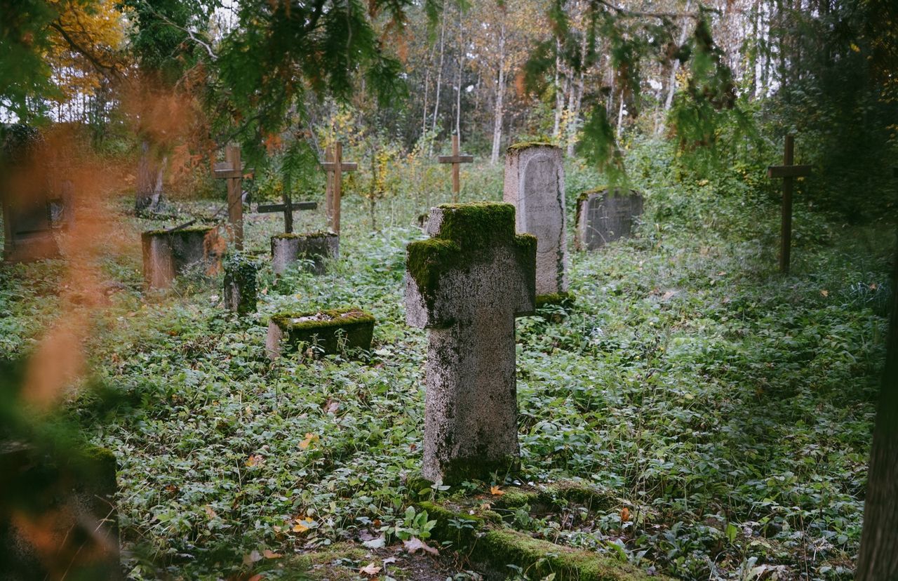 Zabytkowy cmentarz ewangelicki w Pleceminie