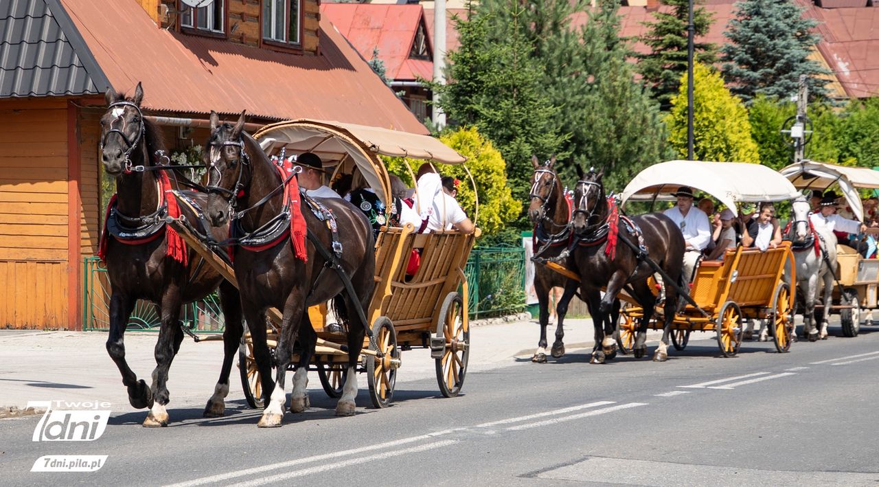 Sabałowe Bajania, Bukowina Tatrzańska, Podhale
