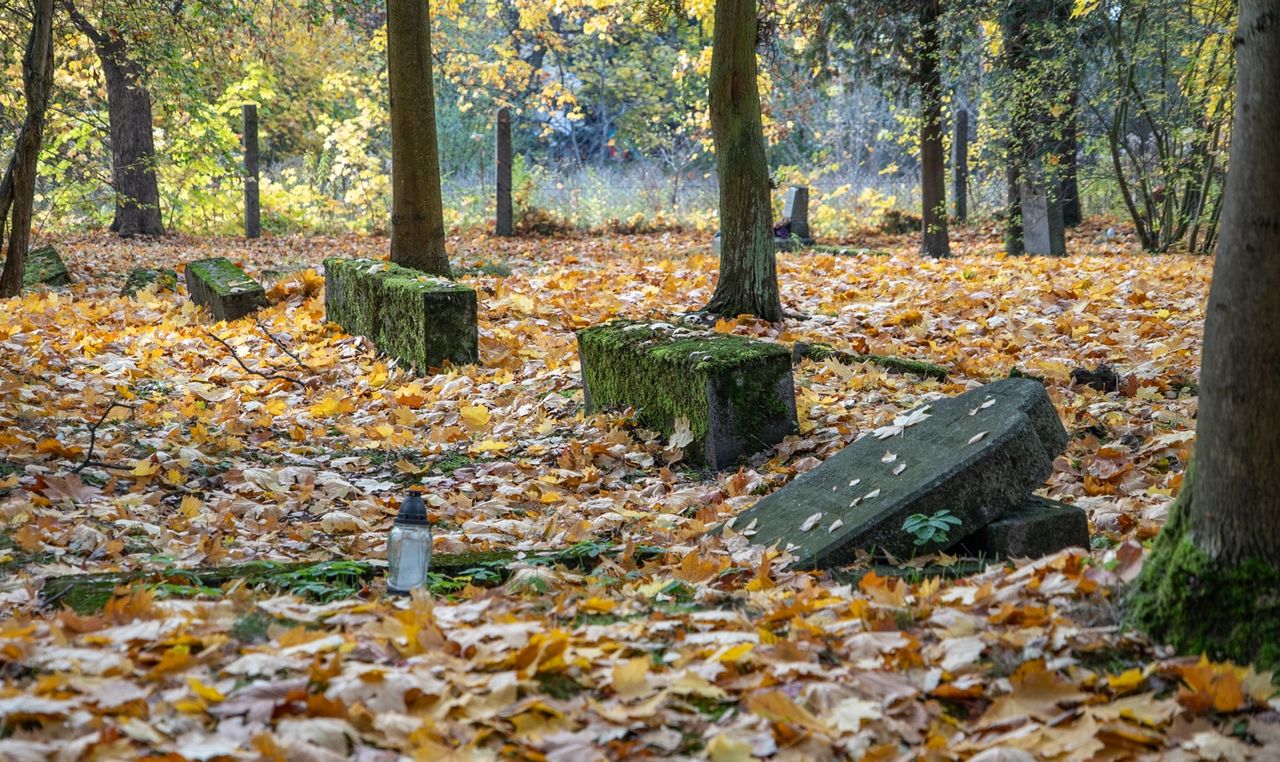 Cmentarz przy al. Powst. Wlkp. w Pile, dawny, stary, Piła