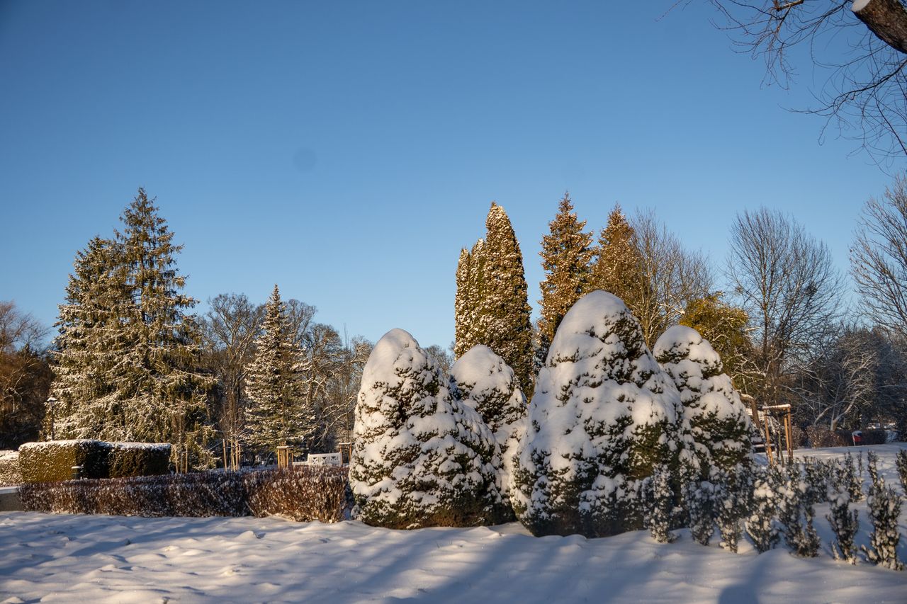 Park Miejski Piła, zima, śnieg, styczeń 2026