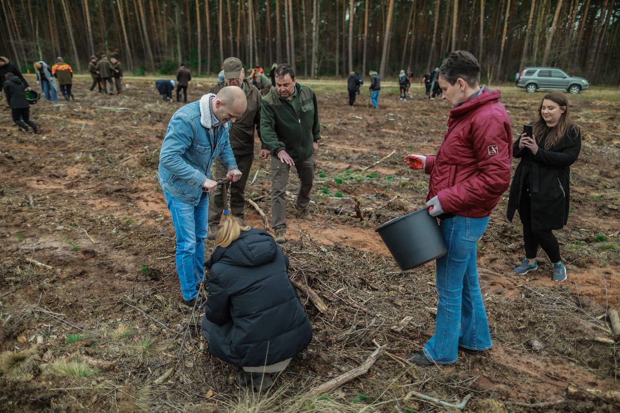 Wiosenne sadzenie drzew!