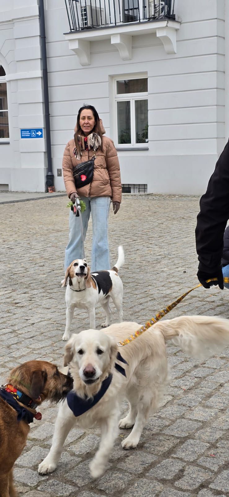 33. Finał Wielkiej Orkiestry Świątecznej Pomocy