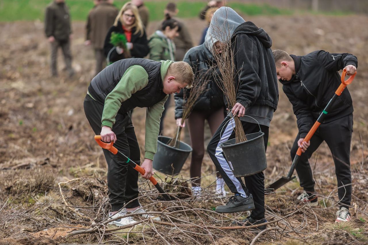 Wiosenne sadzenie drzew!