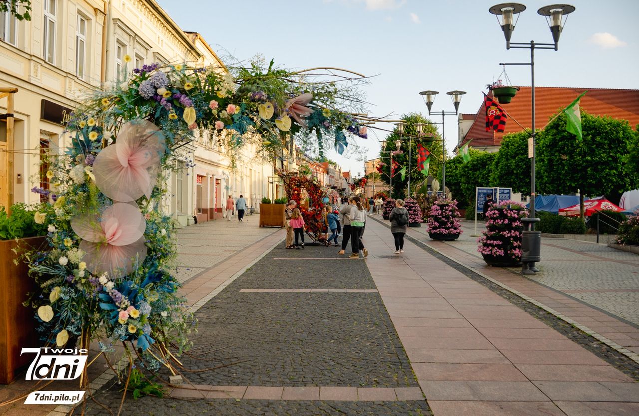 Festiwal Kwiatów, Czarnków