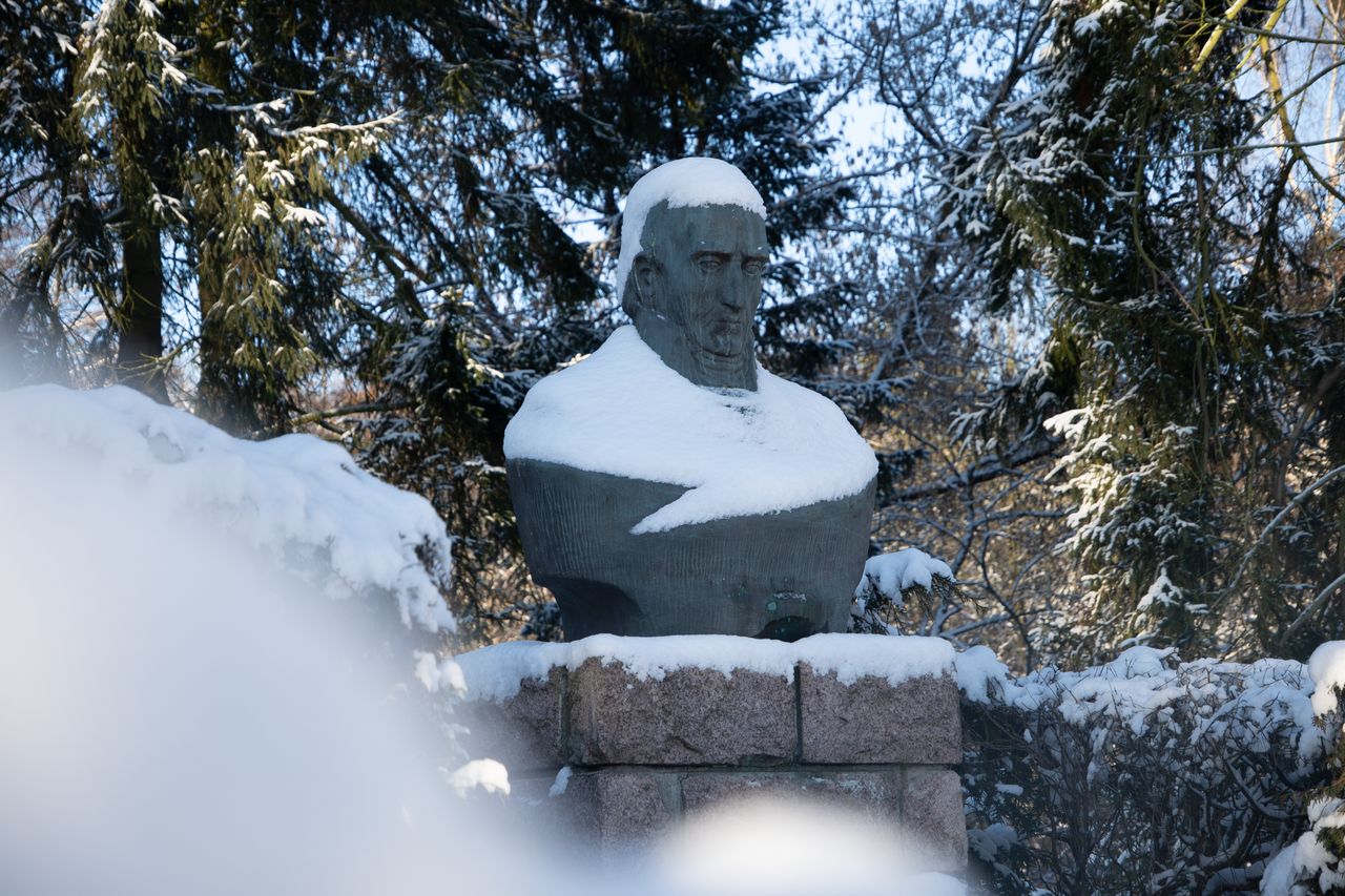 Park Miejski Piła, zima, śnieg, styczeń 2026