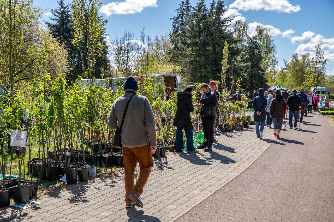 Piła, Wystawa Miasto - Ogród, 2026