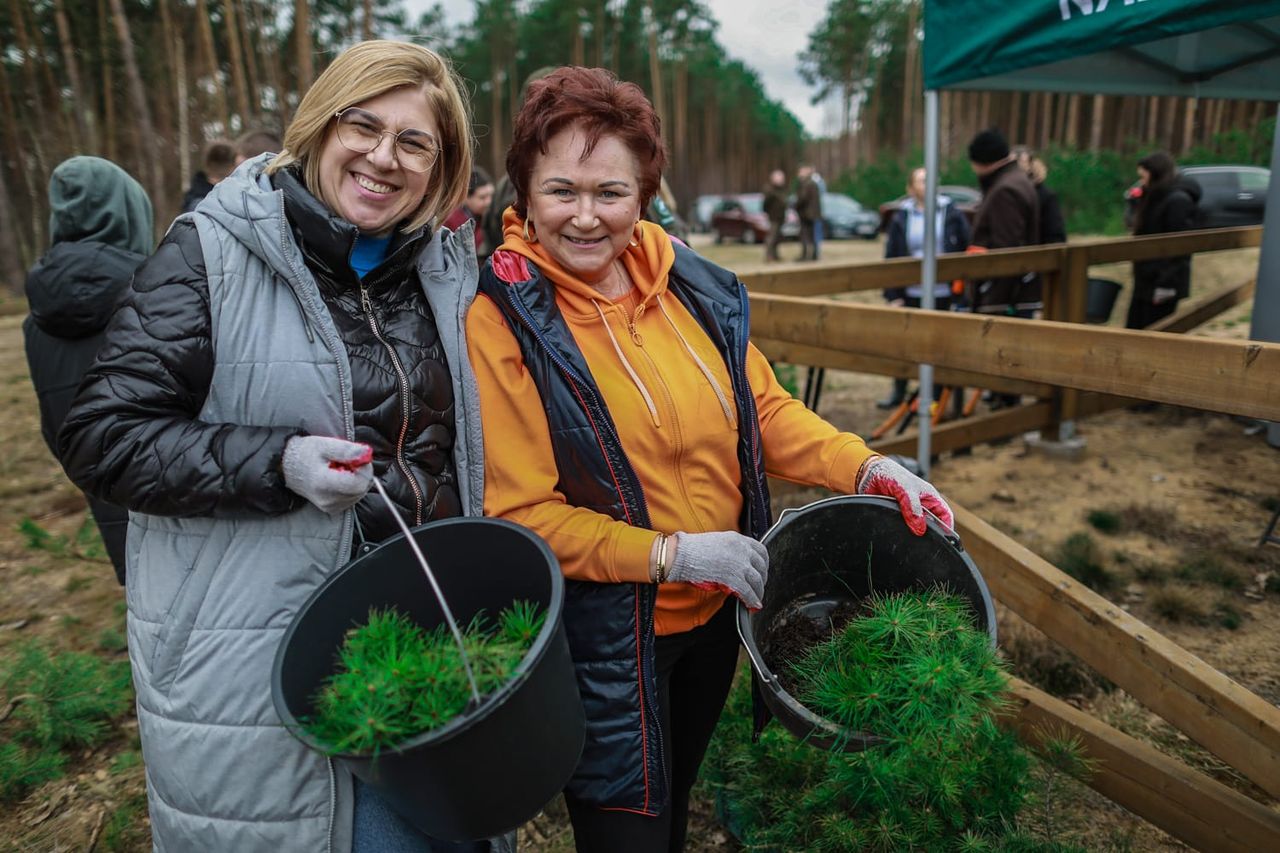 Wiosenne sadzenie drzew!