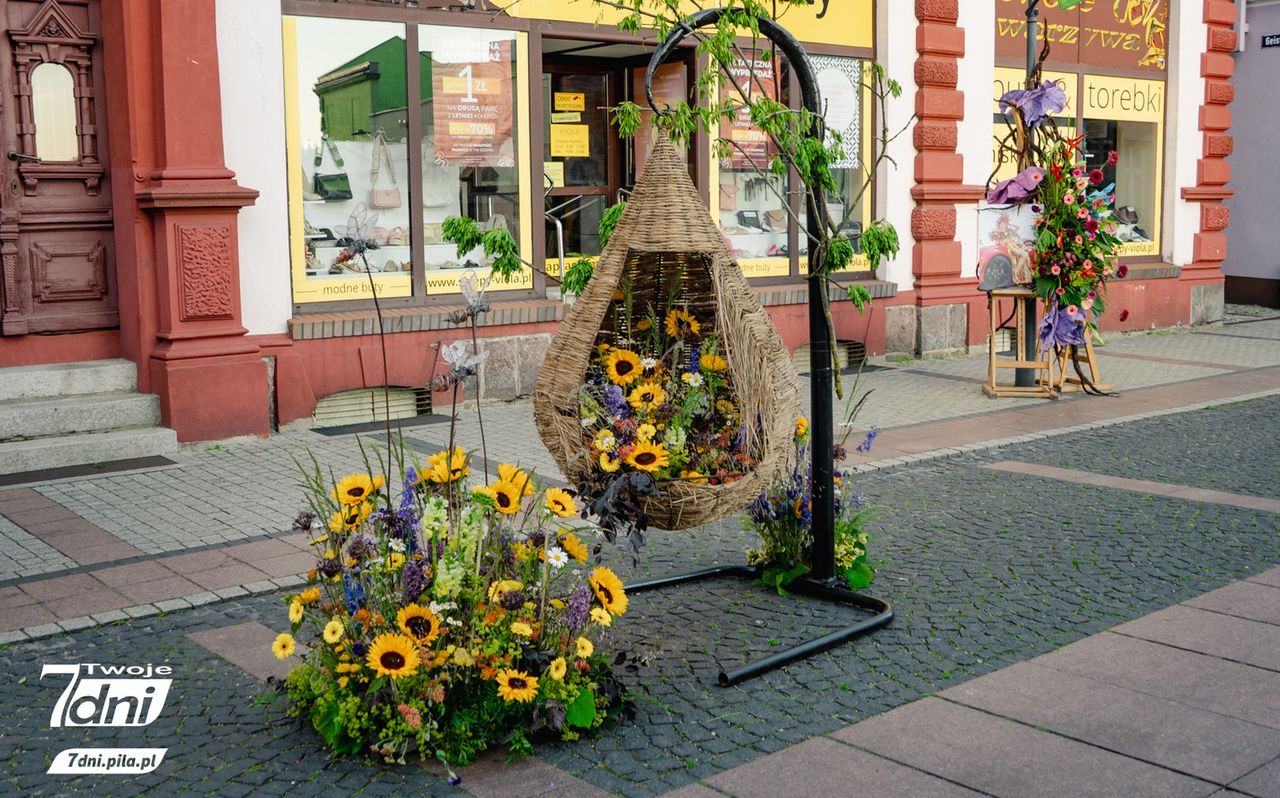 Festiwal 
Kwiatów, Czarnków