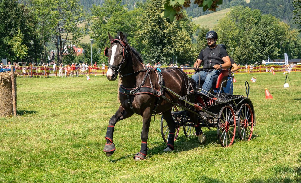 Zakopane, powożenie