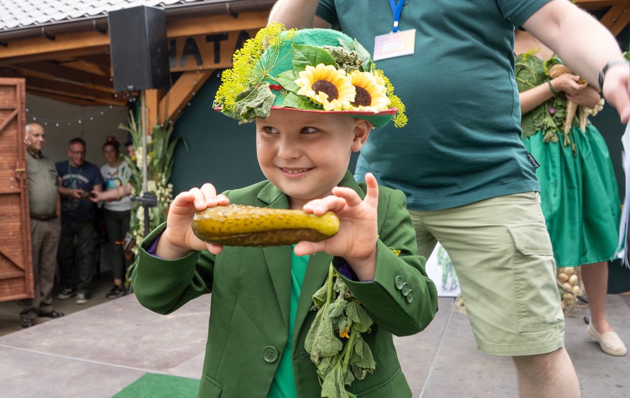 Festyn ogórkowy w Kaliszu Pomorskim, ogórki