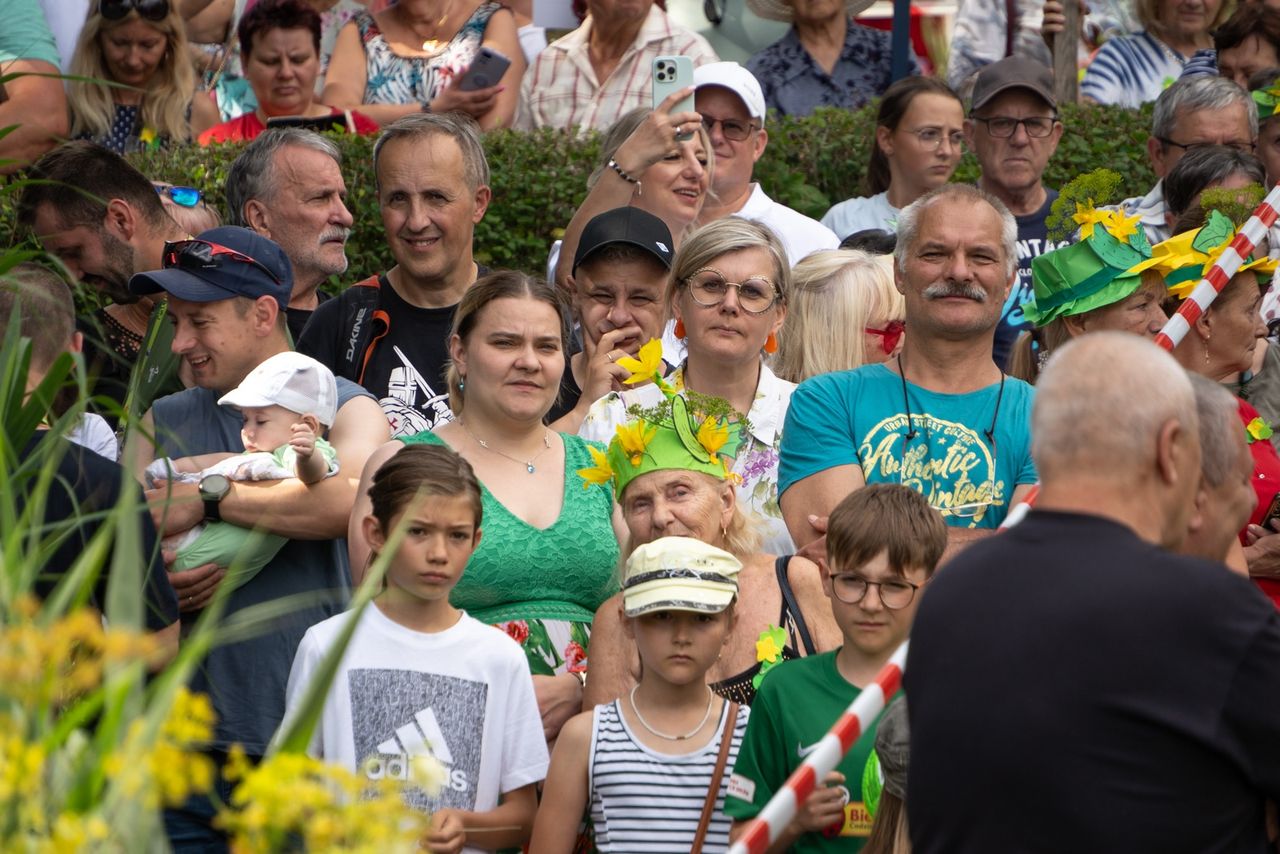Festyn ogórkowy w Kaliszu Pomorskim, ogórki