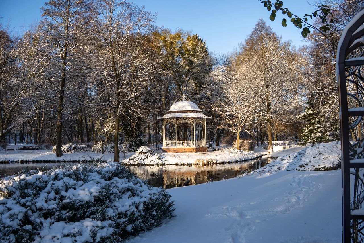 Park Miejski Piła, zima, śnieg, styczeń 2026
