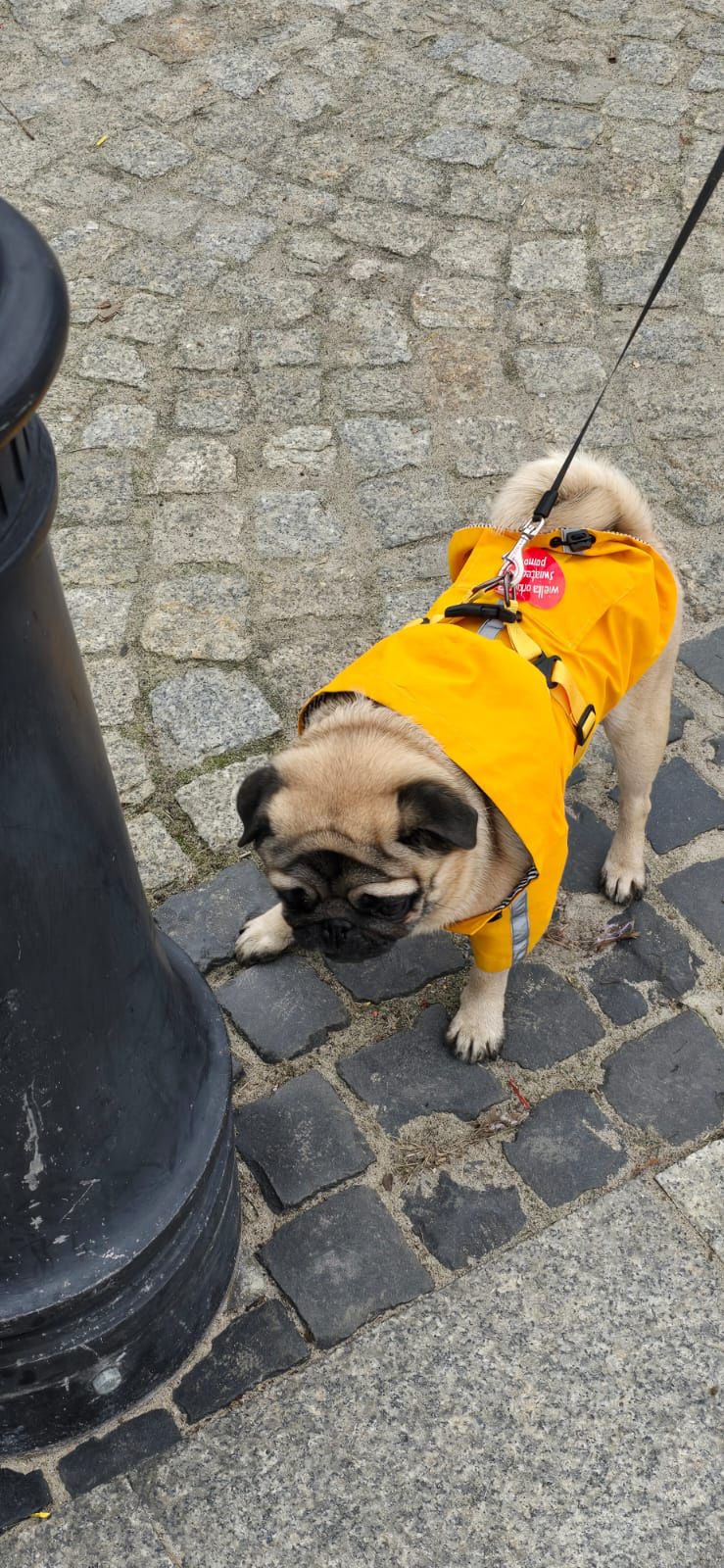 33. Finał Wielkiej Orkiestry Świątecznej Pomocy