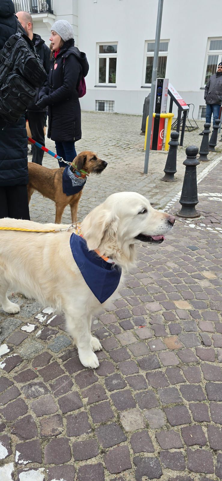 33. Finał Wielkiej Orkiestry Świątecznej Pomocy