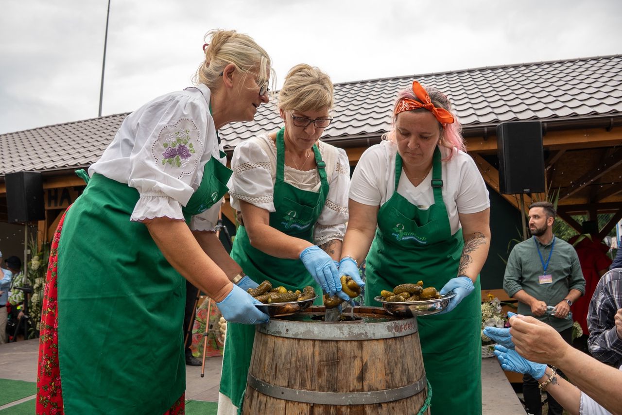 Festyn ogórkowy w Kaliszu Pomorskim, ogórki