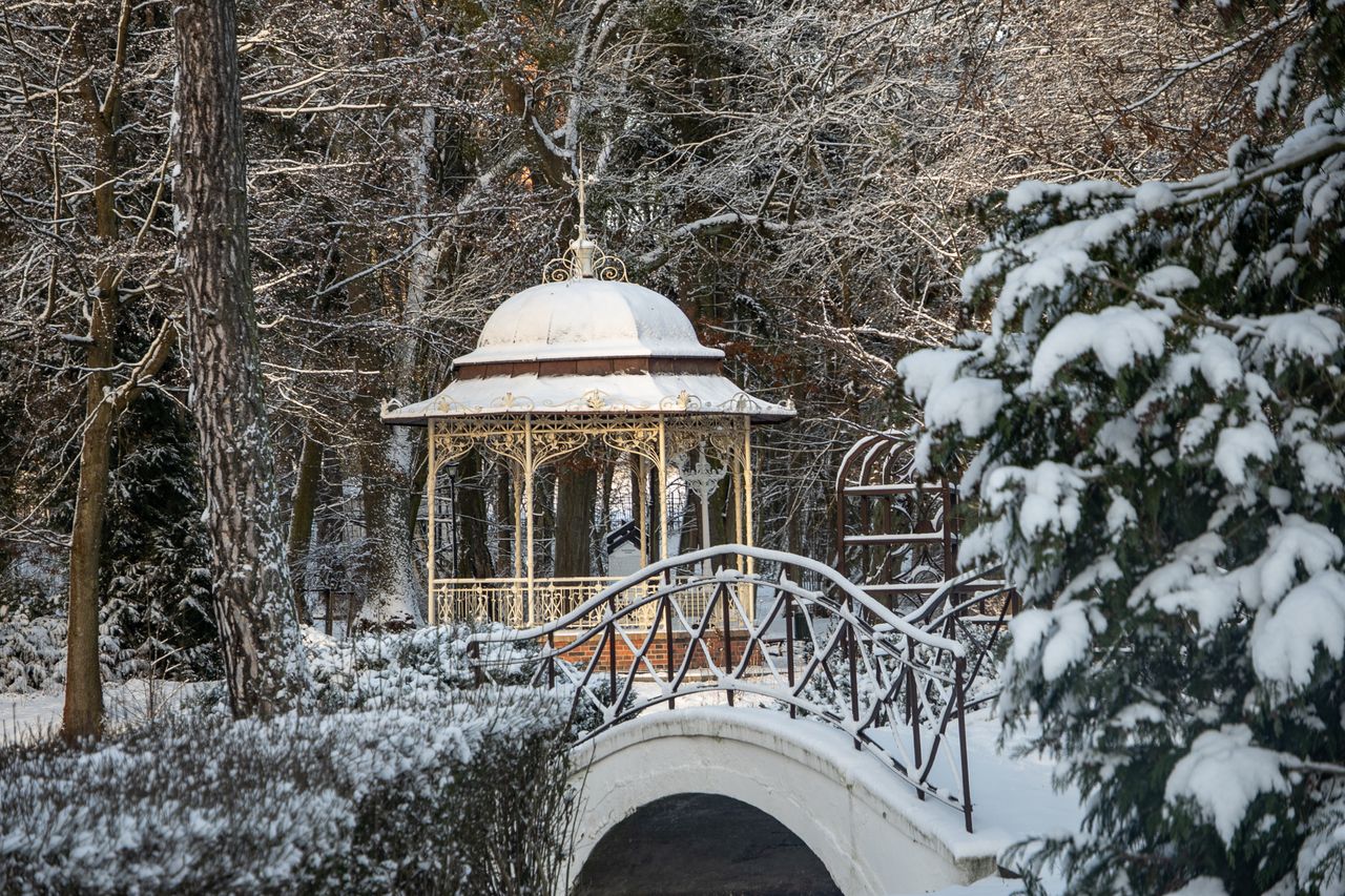 Park Miejski, Piła, styczeń 2026