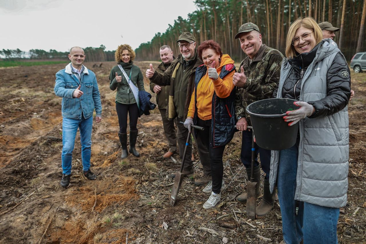 Wiosenne sadzenie drzew!