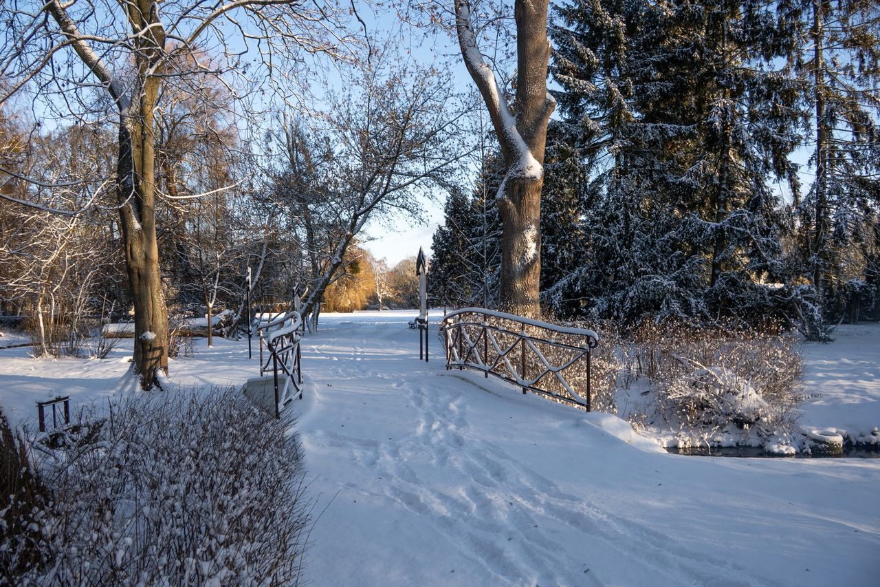 Park Miejski Piła, zima, śnieg, styczeń 2026