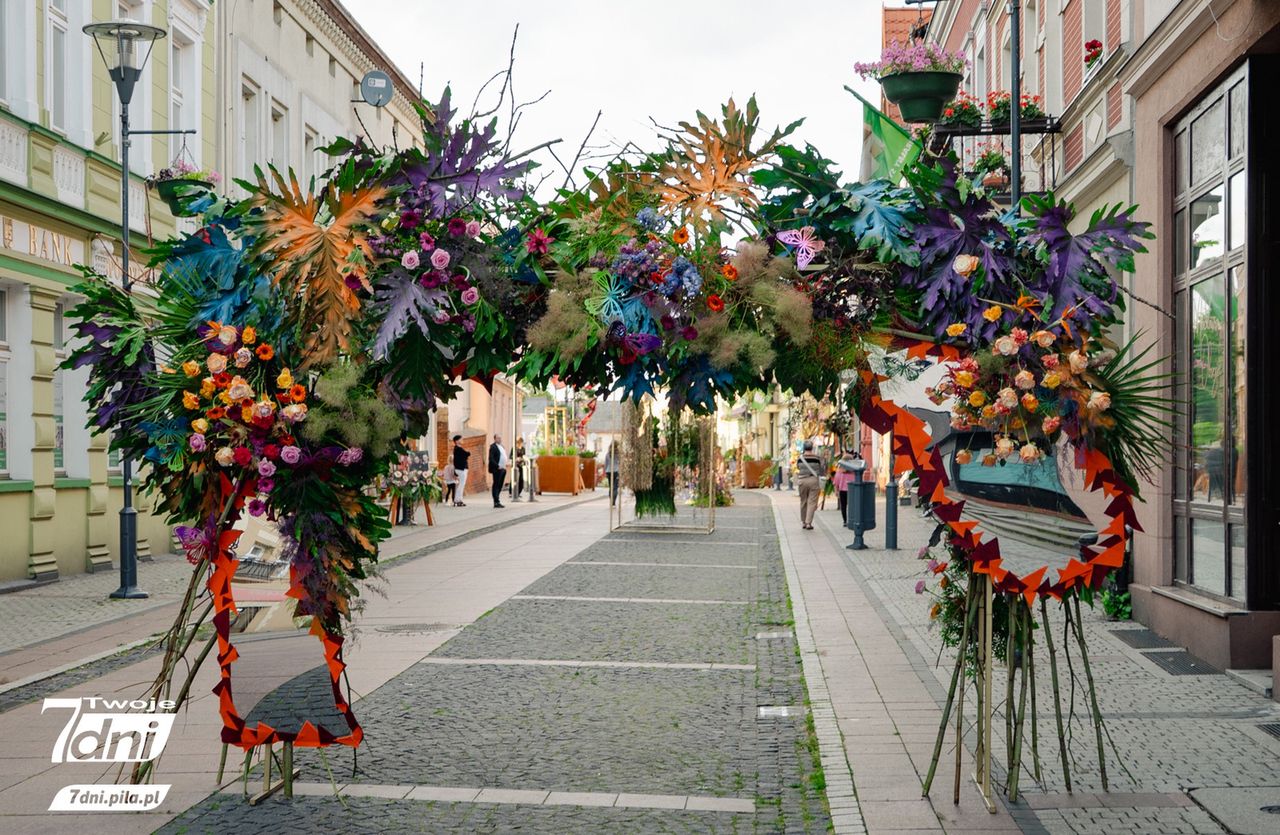 Festiwal 
Kwiatów, Czarnków