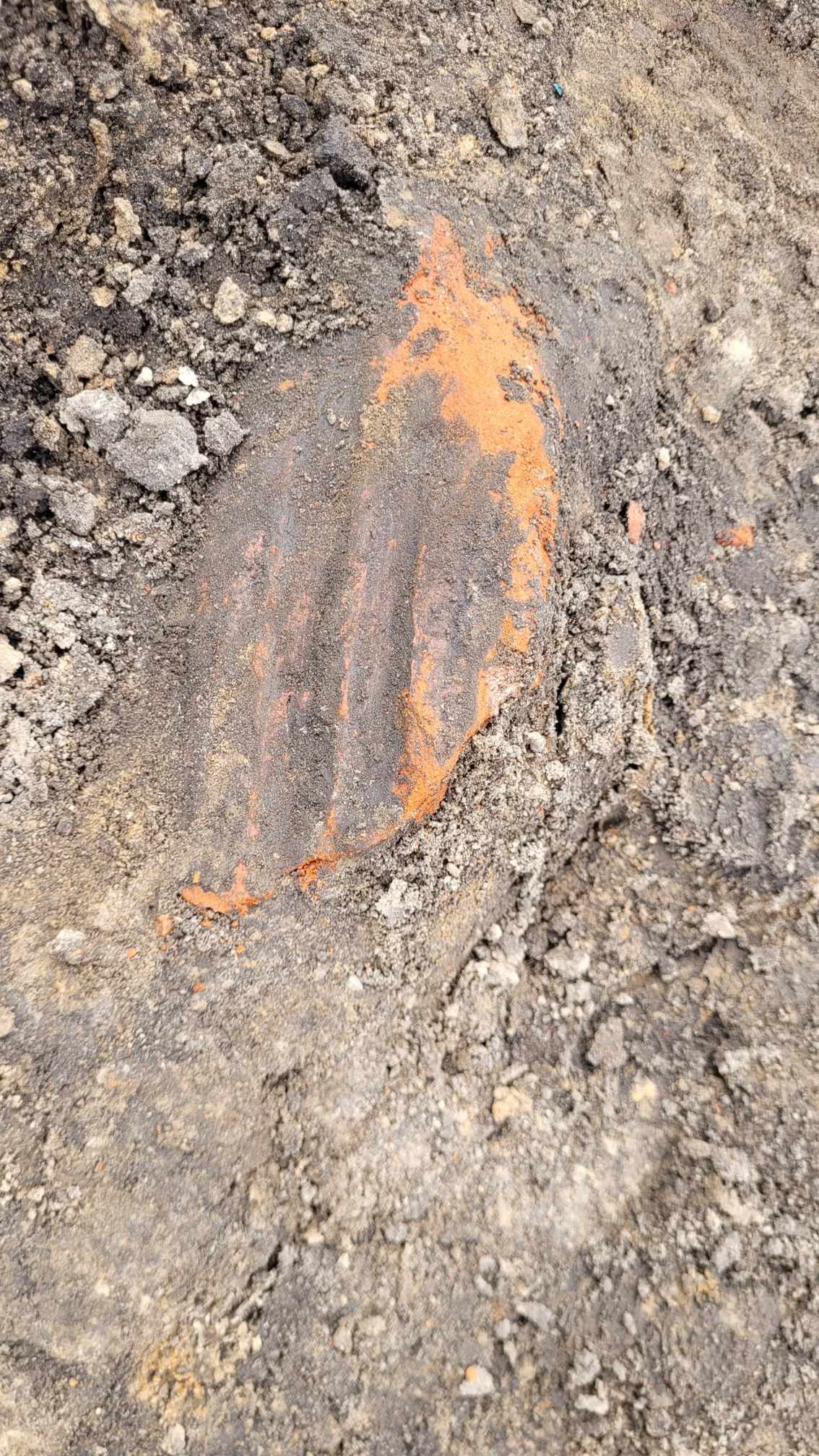 Fragment charakterystycznej dla okresu średniowiecza cegły tzw. „palcówki” odkrytej obok dobrze zachowanego bruku kamiennego